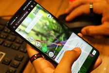La plataforma permitirá a estudiantes, docentes, investigadores y visitantes identificar especies y acceder a información detallada sobre la biodiversidad del campus