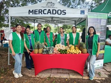 Ecointercambio- Ecocreando