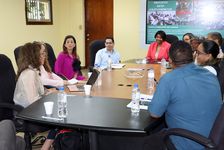 Intercambio de ideas y experiencias en los proyectos de emprendimiento.