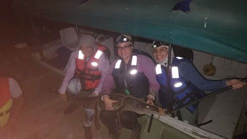 La Dra. Cocodrilo de la UTP hace historia con proyecto de investigación sobre cocodrilo americano en Panamá 