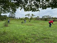 La actividad contó con la entusiasta participación de estudiantes voluntarios de diversas facultades del Centro Regional.