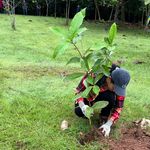 Este evento se desarrolló en los predios del Centro Regional con el objetivo de promover la sostenibilidad ambiental y fomentar la educación ecológica entre estudiantes y miembros de la comunidad.