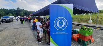 La feria se realizó en el Campus Dr. Víctor Levi Sasso, de la Universidad Tecnológica de Panamá.