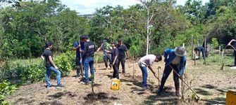 Estudiantes realizan jornada de limpiezas a plantones. 