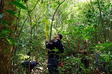 Durante el inventario.