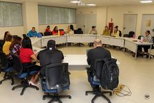 Coordinadores de las comisiones y subcomisiones de educación superior.