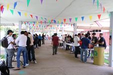 Participaron 20 grupos