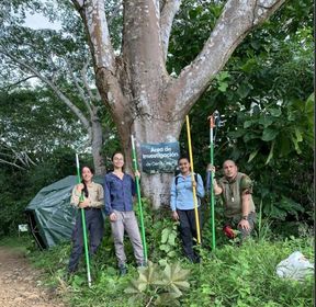 Universidad Tecnológica de Panamá