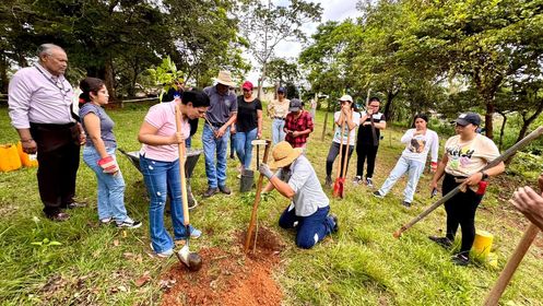 Estudiantes y docentes realizan siembre de Guayacanes 