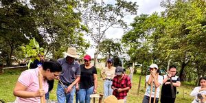 Estudiantes y docentes realizan siembre de Guayacanes 