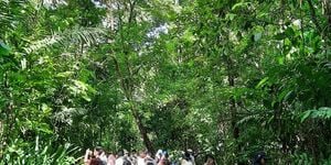 Gira Académica a el Centro de Visitantes del Rainforest Discovery Center en las cercanías del Parque Nacional Soberanía por estudiantes del centro Regional de Panamá Oeste. 