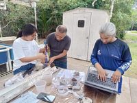 Fortalecimiento de capacidades en evaluación de carbono azul. 