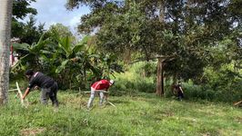 Limpieza de plantones en los alrededores de la UTP. 