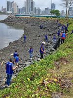 Impacto ambiental positivo al reducir residuos.