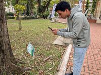 Estudiante visualizando por medio del celular la información del árbol. 