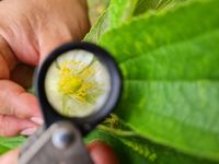 Muestra del trabajo.