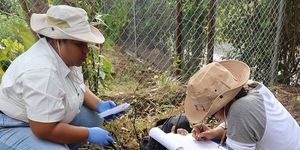 Calidad del agua para consumo humano en Caballero, Pajonal y San Juan de Dios