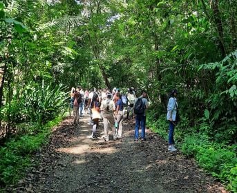 Gira Académica a el Centro de Visitantes del Rainforest Discovery Center en las cercanías del Parque Nacional Soberanía por estudiantes del centro Regional de Panamá Oeste. 