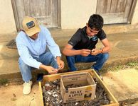 Los estudiantes participaron activamente en diversas tareas, incluyendo el traslado de tierra, limpieza de conos de las bandejas, siembra de semillas, embolsado, trasplante de platones y la recolección de semillas en la localidad de Pedasí.