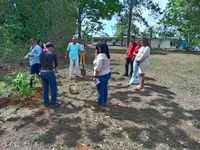 Autoridades participan de la siembra de Plantones de guayacanes. 