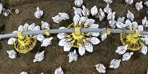 Universidad Tecnológica de Panamá