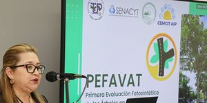 Evaluación Fotosintética de los Árboles en la ciudad de Panamá. 