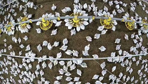 Universidad Tecnológica de Panamá