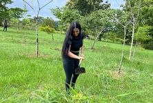 La jornada se realizó en colaboración con la Sección de Áreas Verdes.