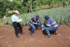 Dra. Ana Cristina González Valoys en el campo.