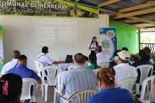 El estudio se realizó en Herrera corregimiento de Panamá Oeste.
