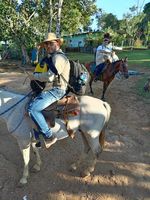 Los caballos fueron de gran utilidad para llegar a lugares de difícil acceso durante la gira de trabajo realizada por los investigadores del CINEMI.