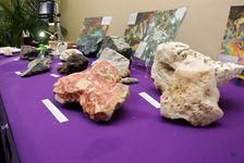 La investigadora del proyecto presentó varias de las rocas que forman parte de esta investigación.