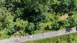 Vista aérea del cultivo.