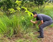 El objetivo de esta jornada fue dar seguimiento al mantenimiento y cuidado de los árboles sembrados en pasadas jornadas de reforestación.