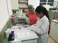 Se realiza diferentes trabajos de laboratorio para los informes del proyecto.