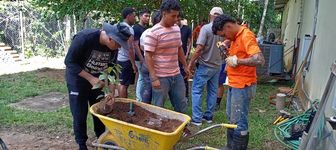Se donaron plantones de especies nativas y frutales.