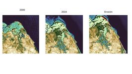 Comparación de erosión costera.