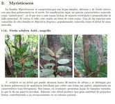 Información del inventario.