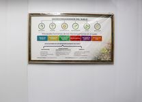 Microorganismos del suelo.