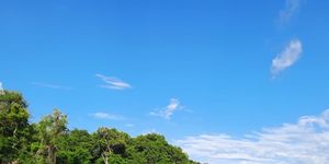 Complejo Humedal de Matusagaratí 